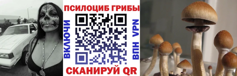 Псилоцибиновые грибы Psilocybe  Агидель 